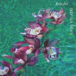 CD диск Brhym: Deep Sea Vents - фото