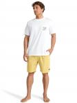 BILLABONG Шорты Regular 'Larry' в цвете Lemon - фото 2