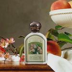 Perfumes Unisex Don't read the spring breeze - фото 5