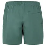 Шорты для плавания Protest Agaat 25, зеленый - фото 2