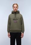 Худи Napapijri BURGEE, Tea Leaf Ga/Light Green - фото