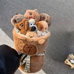 Плюшевая кукла Capybara Bouquet Dolls высота 35см Tak Bebe - фото 3