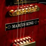 Gibson Marcus King ES-345 - Вишня шестидесятых - фото 8