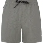 Мужские плавки Wytona Protest, цвет Verde pardo - фото