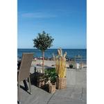 Набор корзин 41x49x41 см, прозрачный - фото 2