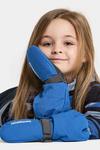 Детские перчатки BIGGLES MITTEN 7 Didriksons, синий - фото