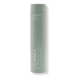 Шампунь Исцеляющая сила L'anza - фото