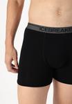 Брюки MEN MERINO 150 ANATOMICA BOXERS WFLY Icebreaker, черный - фото 5