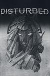 Футболка Disturbed Immortalized, серый - фото 3