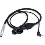 DigitalFoto Solution Limited ARRI cforce RF/Hi-5 to Sony AR125 - фото 4