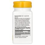 Ниацин Nature's Way 100 мг, 100 капсул - фото 2