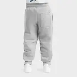 Плотные спортивные штаны Siroko для мальчиков, серый - фото 2