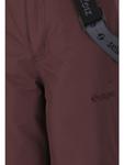 Лыжные штаны Zigzag Skihose Provo, цвет 4241 Fudge - фото 3