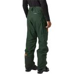 Брюки Garibaldi 2.0 - мужские Helly Hansen, Dark Jungle - фото 4