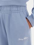 Спортивные брюки relaxed fit Script WW0WW48784 Tommy Hilfiger, синий - фото 4