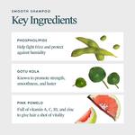 Гладкий шампунь Virtue - фото 3