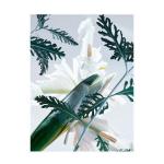 Ледяная эссенция 100 мл Bvlgari - фото 5