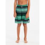 Плавки-Шорты prtray jr Protest, зеленый - фото 3