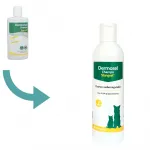 Стангест Шампунь Дермосел 250мл Stangest - фото