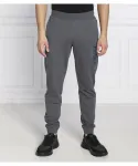 Спортивные штаны Regular fit Ea7, серый - фото