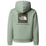 Толстовка с капюшоном Teen'S box nse regular The North Face, мультиколор - фото 2