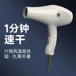 Фен для волос Fire Phoenix, 8960H Blue Parrot - фото 2