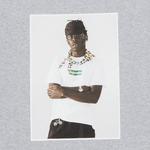Футболка Supreme Tyler, The Creator Tee, цвет Heather Grey - фото 2
