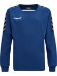 Толстовка Hummel Hmlauthentic Kids Training Sweat, цвет TRUE BLUE - фото