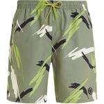 Шорты для плавания prtleuca beachshort Protest, зеленый - фото