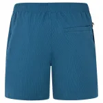 Шорты для плавания Protest Wytona, синий - фото 2