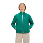Куртка Berghaus Asperton Reversible, зеленый - фото