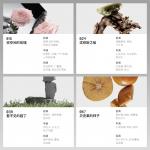 Perfumes Unisex NodOff - фото 6