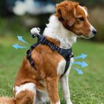 Insta360 Pet Harness Mount (Medium) CINSBAVW - фото 6