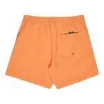 Мужские шорты Everyday Solid Volley 15 Quiksilver, оранжевый - фото 2