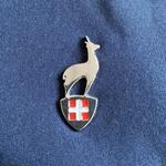 Лыжная куртка Aulp NELIM, темно-синяя - фото 2