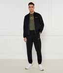 Штаны спортивные Ea7 Regular Fit, черный - фото 2