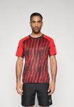 Футболка Puma INDIVIDUALLIGA GRAPHIC , Red/White/Black/Black - фото