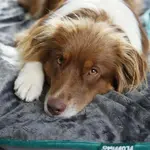 Одеяло DS Produkte, серый - фото 20