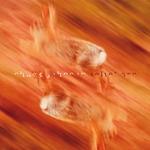 Виниловая пластинка Johnson, Chuck: Velvet Arc - фото