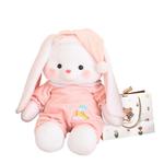 Плюшевая игрушка OU DI PIG, Cute Rabbit 40Cm+Bear Shopping Bag - фото