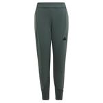 Тренировочные брюки Adidas Z.N.E., графитовый - фото