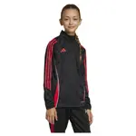 Толстовка adidas Tiro 24 Training half zip, черный - фото