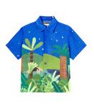 Рубашка с принтом Amazonas Fábula, Est Amazonas Fundo Azul - фото