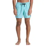 Плавки Quiksilver Everyday Printed Volley 15'', синий - фото