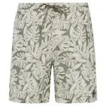 Шорты для плавания Protest Pedro, зеленый - фото