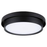 Потолочный светильник Paulmann Malik, черный - фото 3