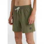 Шорты для плавания O´neill Mix&Match Vert 16´´, зеленый - фото 5