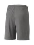 Шорты PUMA Regular Workout Pants TeamLiga, цвет light grey/dark grey - фото 2