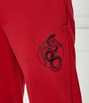 Брюки Regular fit Armani Exchange, красный - фото 4