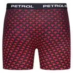 Боксеры 2 шт Petrol Industries M-1050-BXR204 boxers 2 units, синий - фото 4